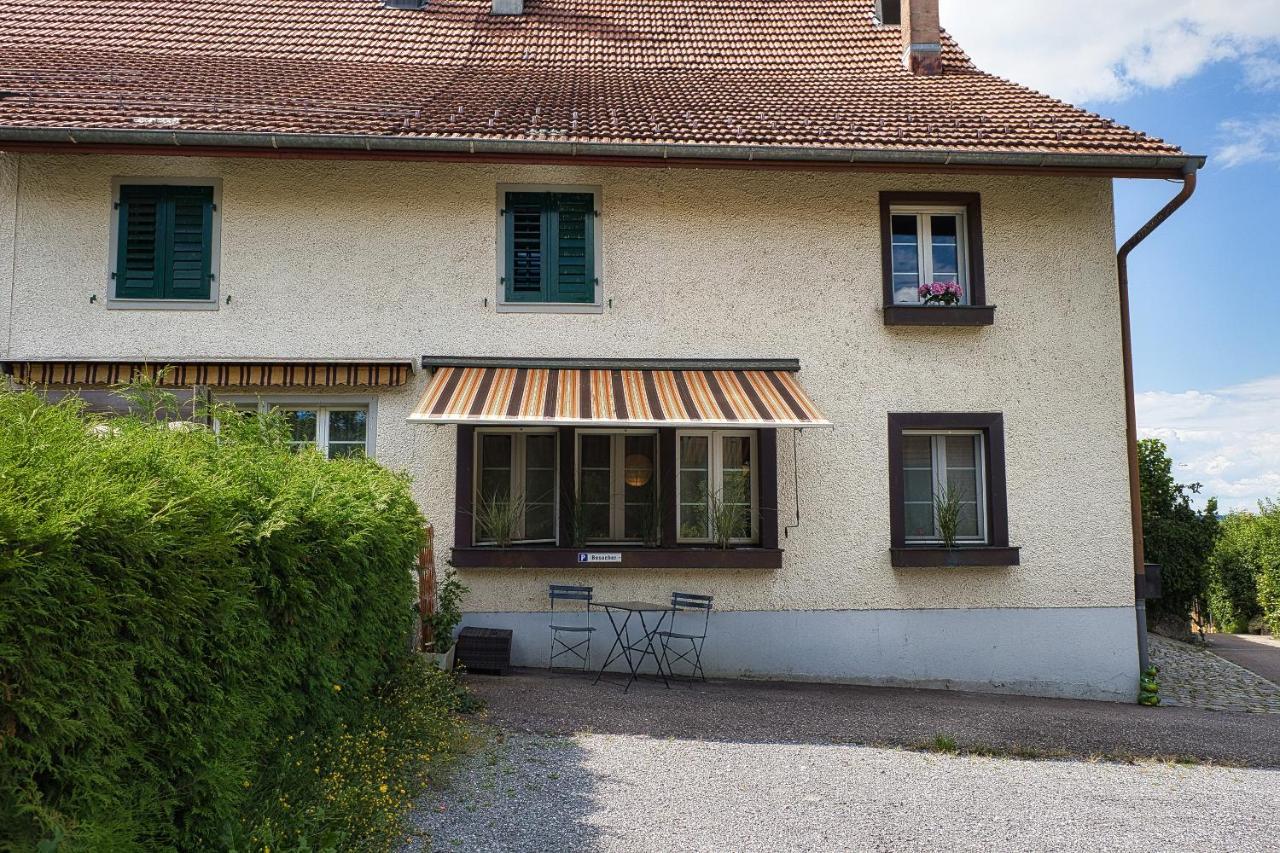 Cozy Apartment Close To Zurich Airport And City Oberglatt Exterior foto